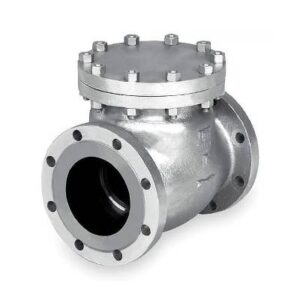 Check Valve