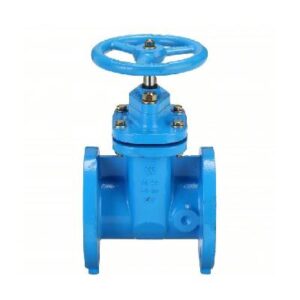 Gate Valve