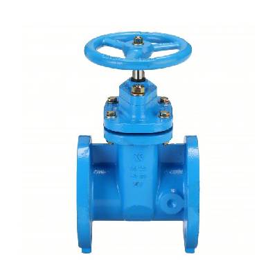 Gate Valve