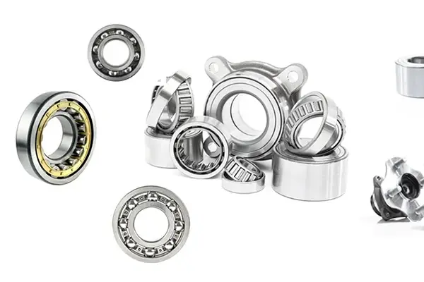 Marine Seals and Bearings